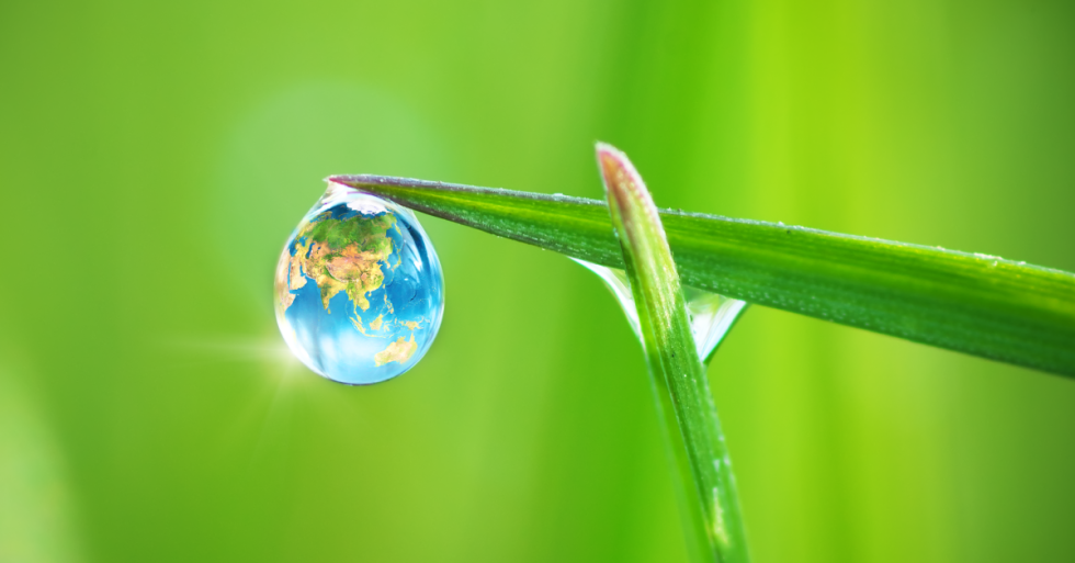 Water Conservation Strategies to Protect Our Precious Resource