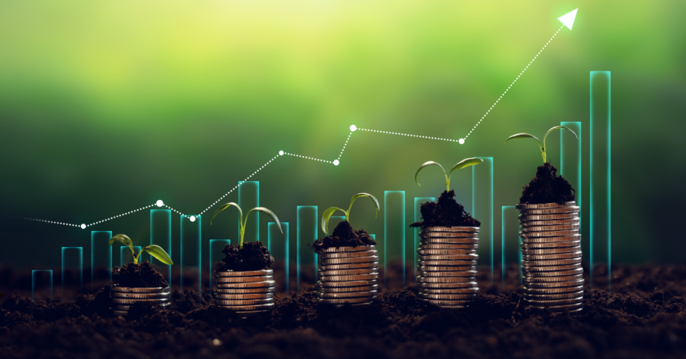 The Difference Between Active and Passive Investing